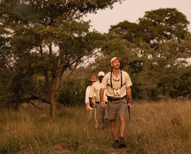 Walking Safari